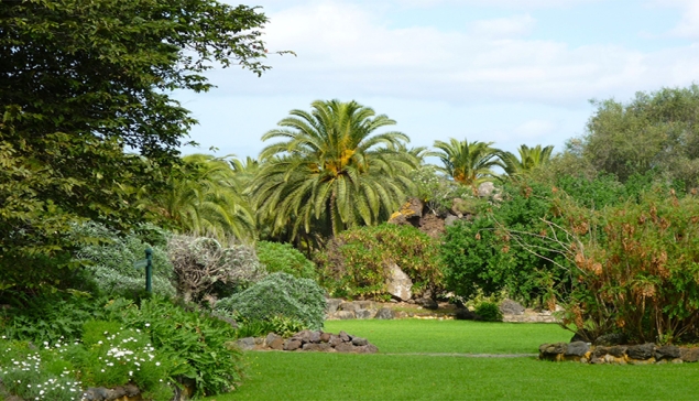 Jardín Botánico Canario Viera y Clavijo - Las Palmas